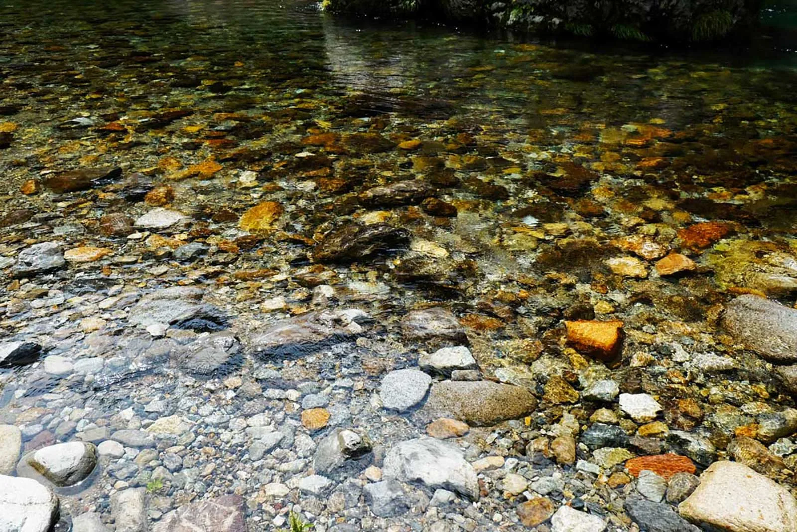 木立の間を流れる天の川の澄んだ流れ