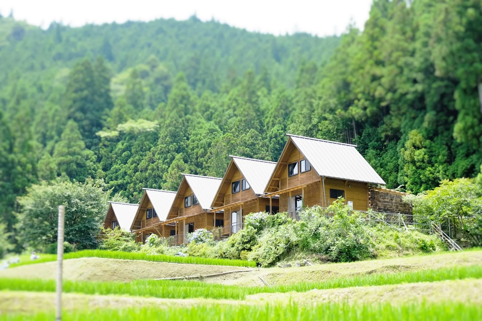 棚田を見下ろす高台に並ぶ山のコテージ