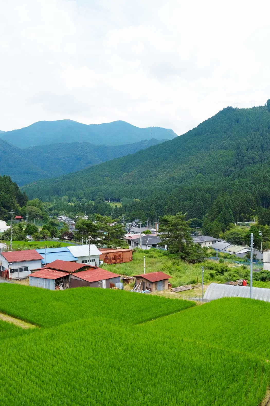 棚田と天川の集落
