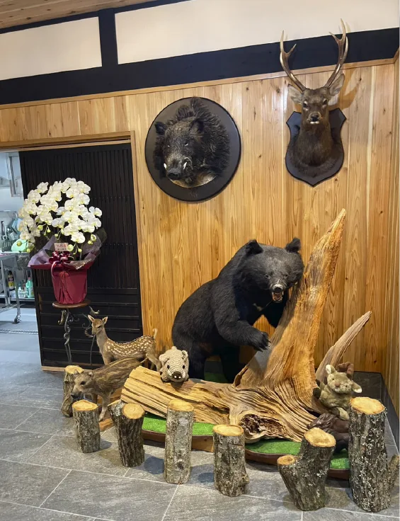 店内に飾られた鹿と猪の剥製